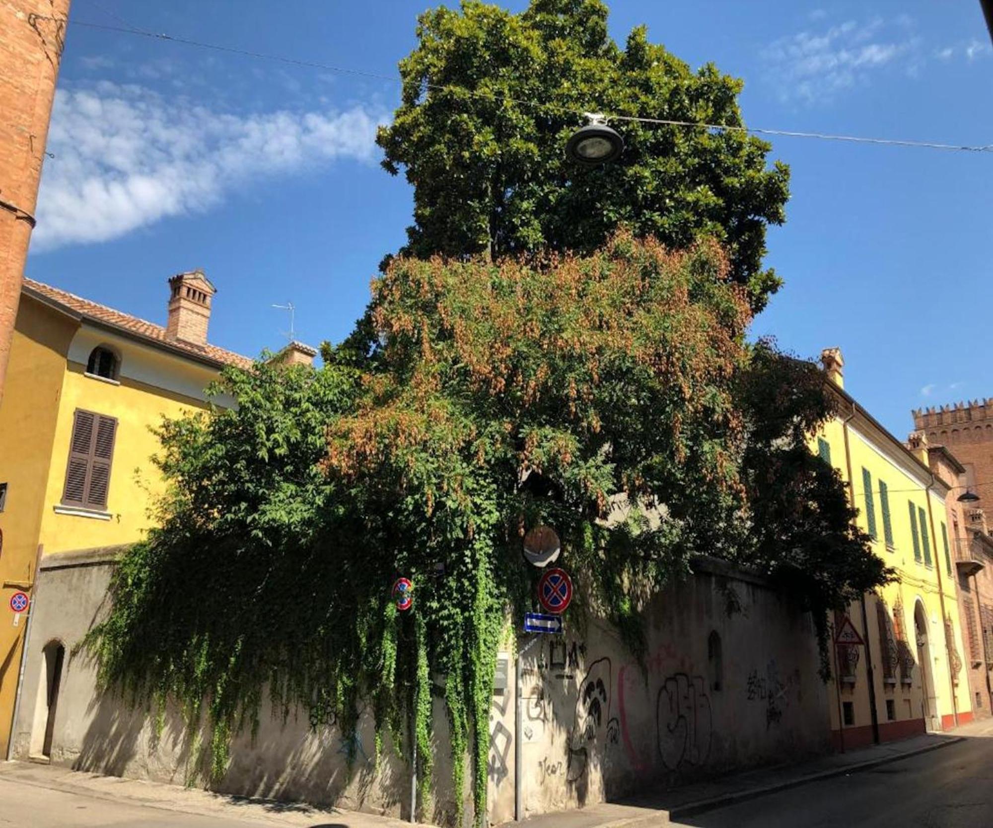 Il Giardino Segreto Ferrara Exterior foto